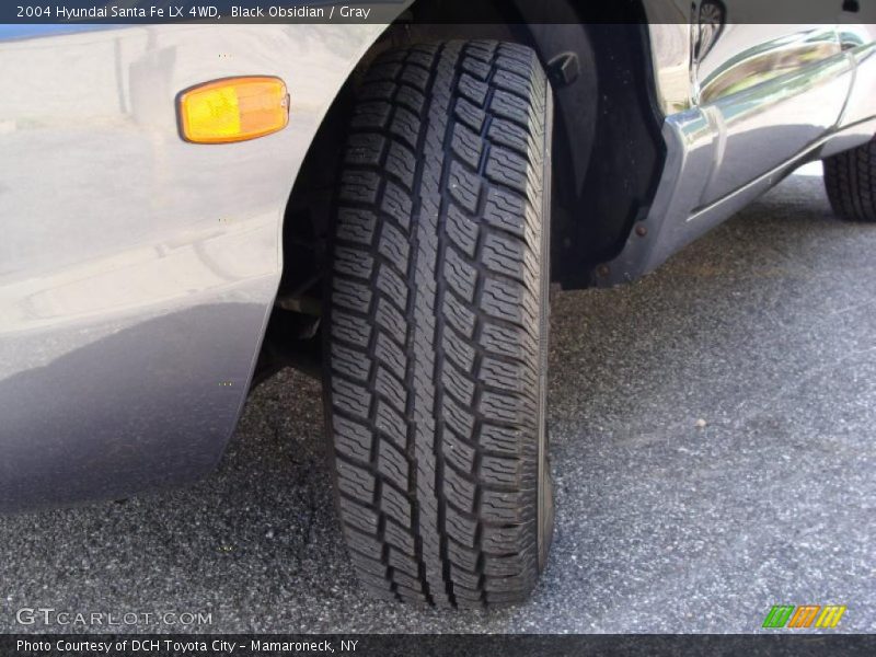 Black Obsidian / Gray 2004 Hyundai Santa Fe LX 4WD