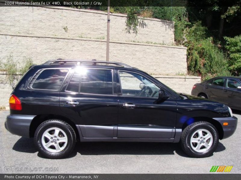 Black Obsidian / Gray 2004 Hyundai Santa Fe LX 4WD
