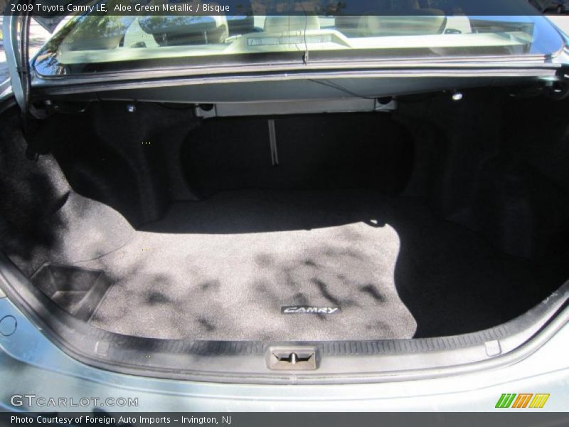 Aloe Green Metallic / Bisque 2009 Toyota Camry LE