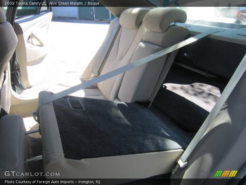 Aloe Green Metallic / Bisque 2009 Toyota Camry LE