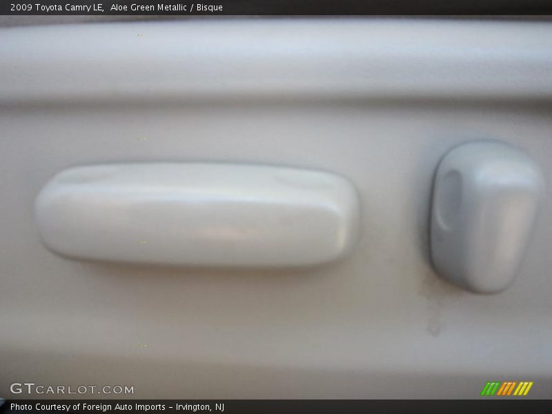 Aloe Green Metallic / Bisque 2009 Toyota Camry LE