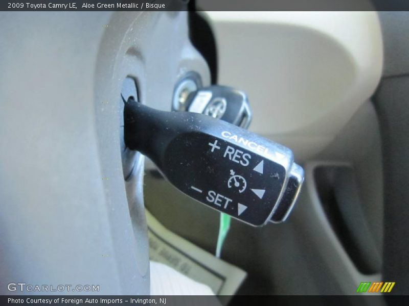 Aloe Green Metallic / Bisque 2009 Toyota Camry LE