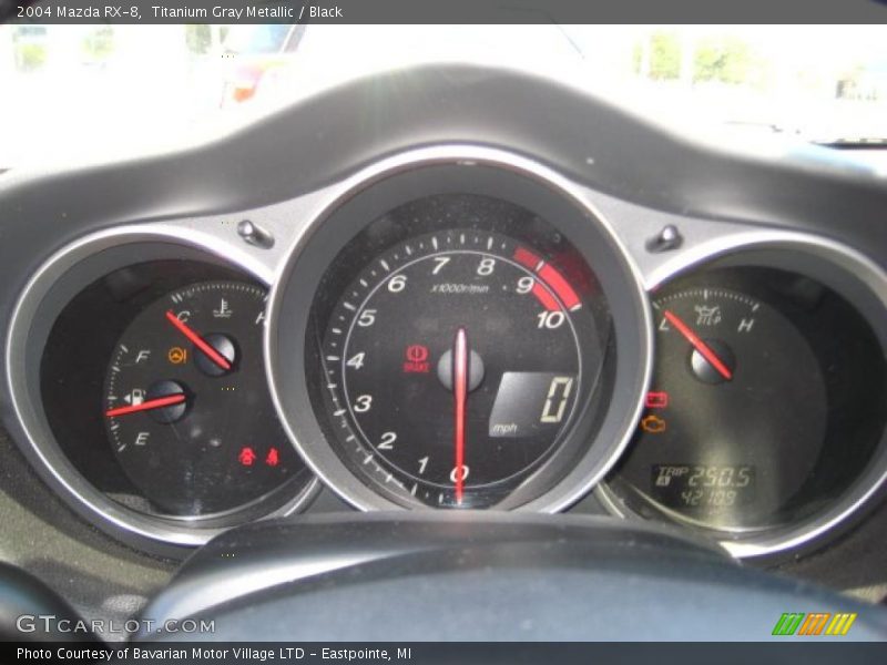 Titanium Gray Metallic / Black 2004 Mazda RX-8