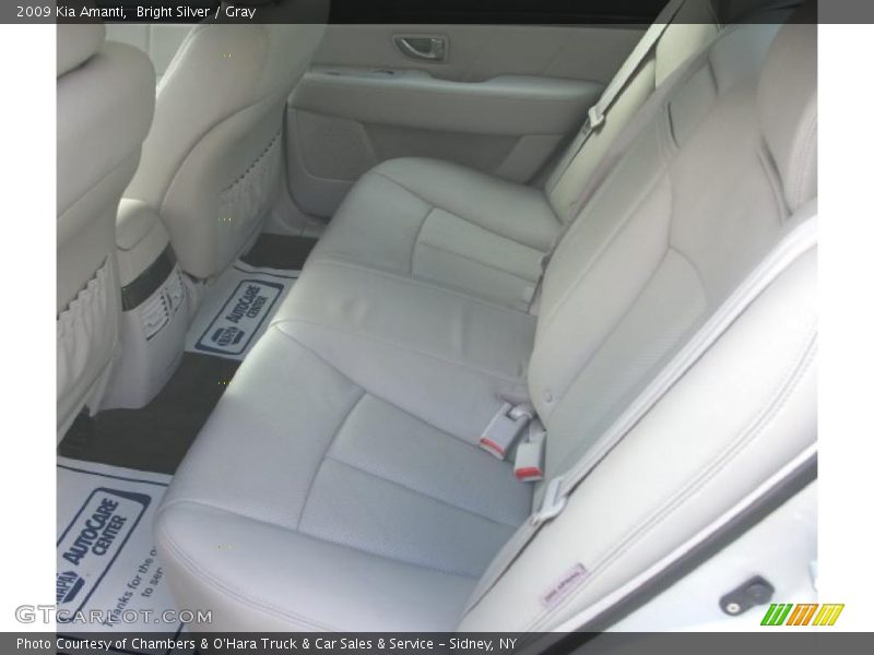 Bright Silver / Gray 2009 Kia Amanti