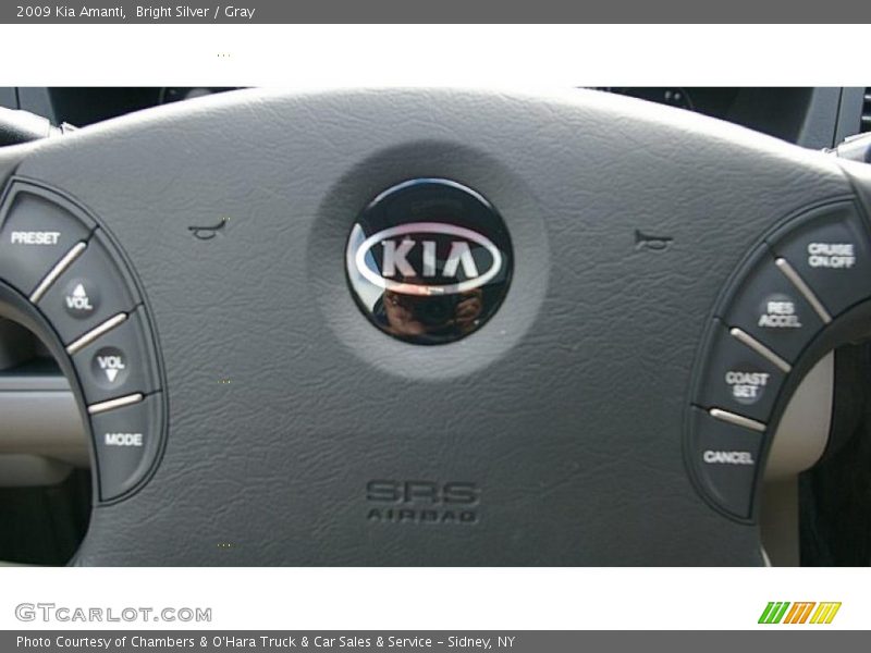 Bright Silver / Gray 2009 Kia Amanti