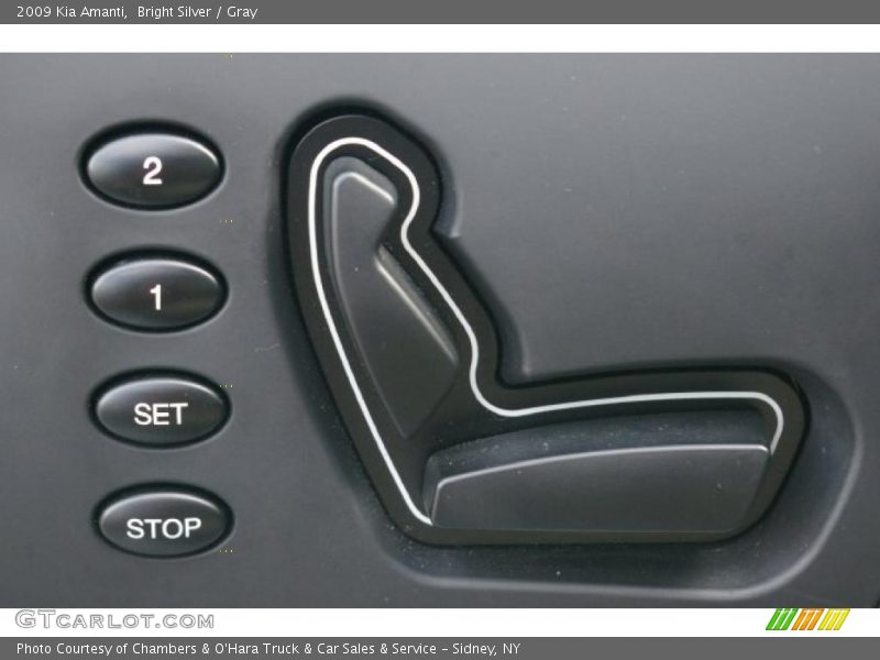 Bright Silver / Gray 2009 Kia Amanti