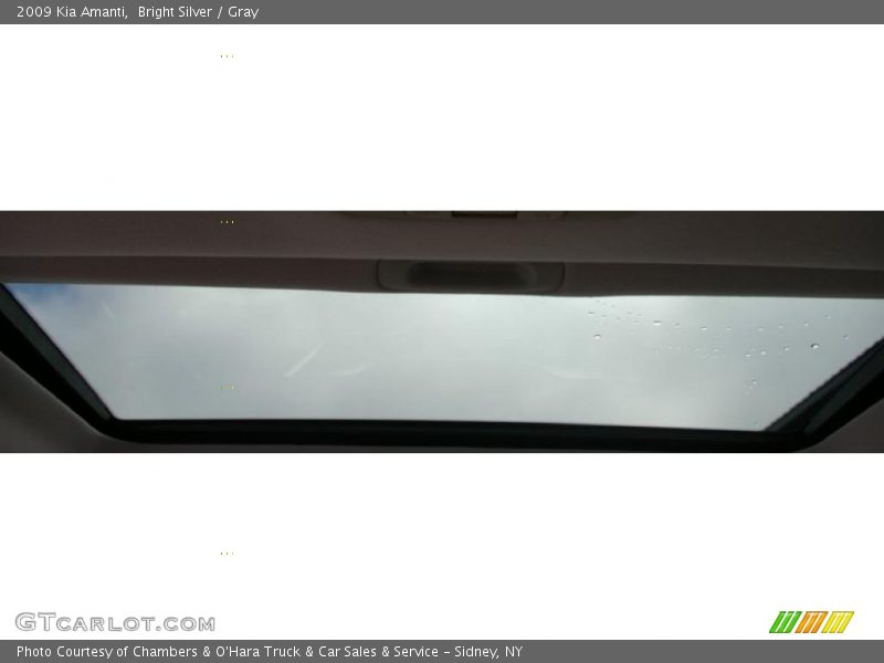 Bright Silver / Gray 2009 Kia Amanti