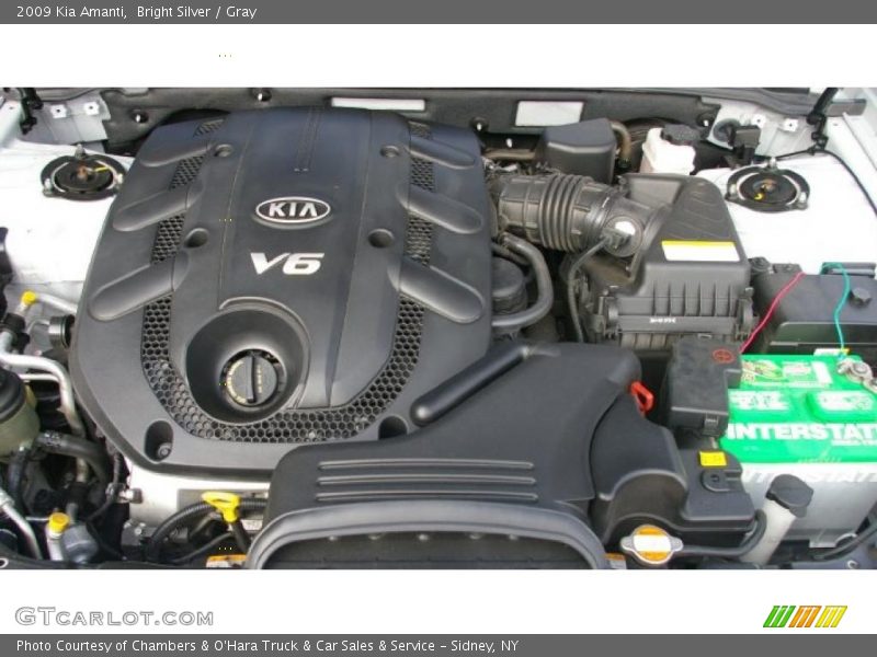 Bright Silver / Gray 2009 Kia Amanti