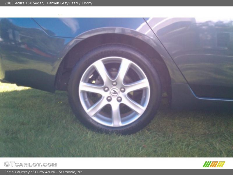 Carbon Gray Pearl / Ebony 2005 Acura TSX Sedan