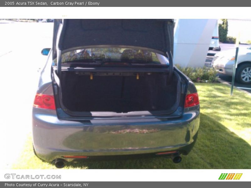 Carbon Gray Pearl / Ebony 2005 Acura TSX Sedan