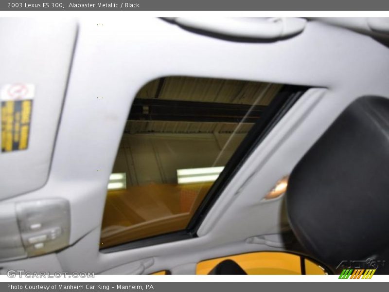 Alabaster Metallic / Black 2003 Lexus ES 300