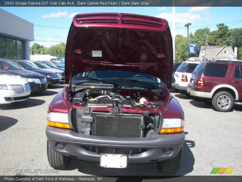 Dark Garnet Red Pearl / Dark Slate Gray 2003 Dodge Dakota SXT Club Cab 4x4