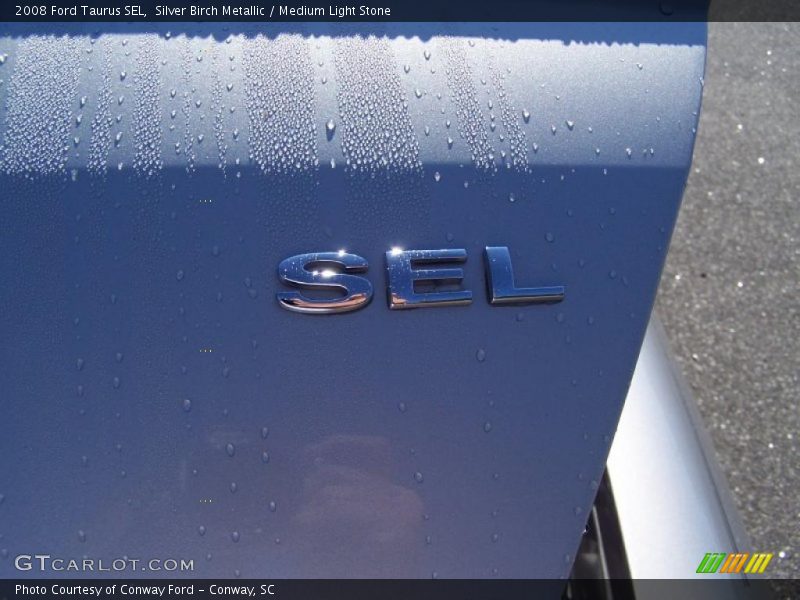 Silver Birch Metallic / Medium Light Stone 2008 Ford Taurus SEL