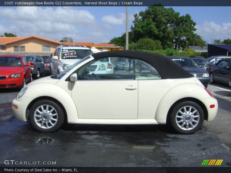 Harvest Moon Beige / Cream Beige 2005 Volkswagen New Beetle GLS Convertible