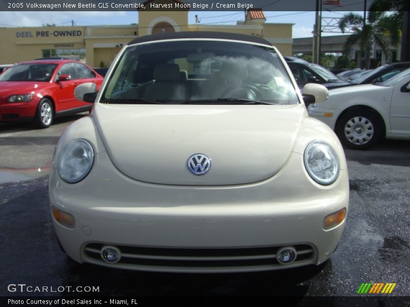 Harvest Moon Beige / Cream Beige 2005 Volkswagen New Beetle GLS Convertible