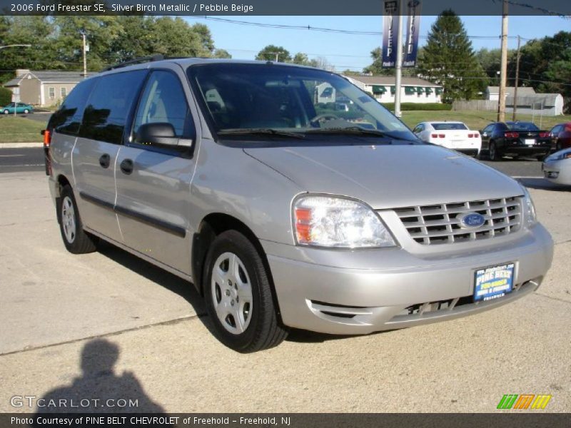 Silver Birch Metallic / Pebble Beige 2006 Ford Freestar SE