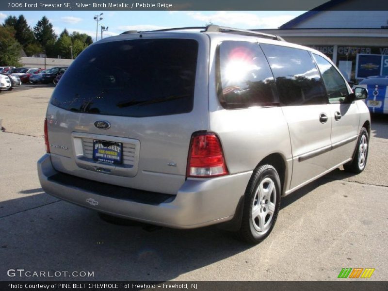 Silver Birch Metallic / Pebble Beige 2006 Ford Freestar SE