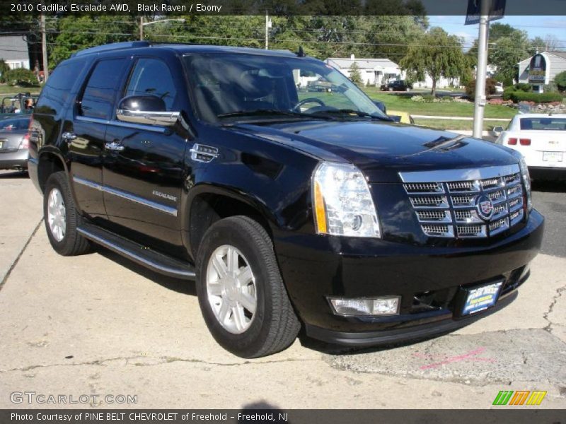 Black Raven / Ebony 2010 Cadillac Escalade AWD