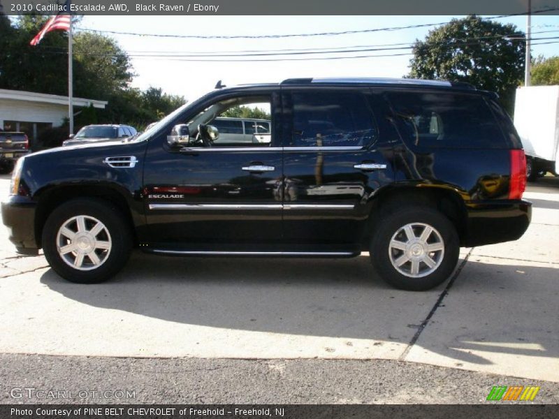 Black Raven / Ebony 2010 Cadillac Escalade AWD