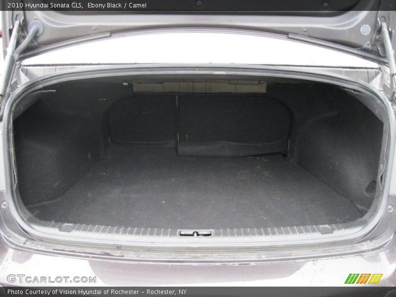 Ebony Black / Camel 2010 Hyundai Sonata GLS