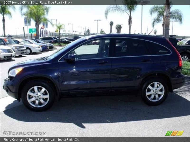 Royal Blue Pearl / Black 2007 Honda CR-V EX-L