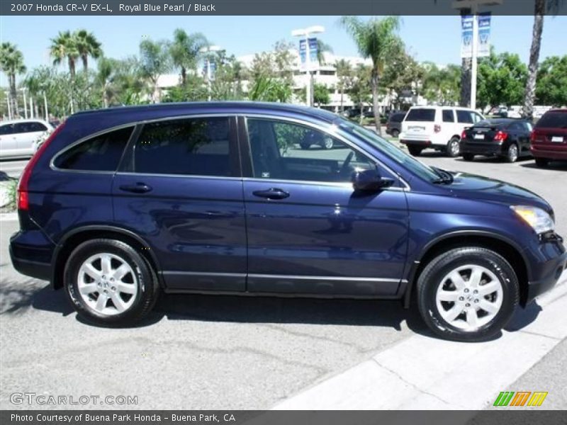 Royal Blue Pearl / Black 2007 Honda CR-V EX-L