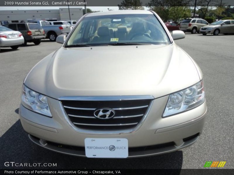 Camel Pearl / Camel 2009 Hyundai Sonata GLS