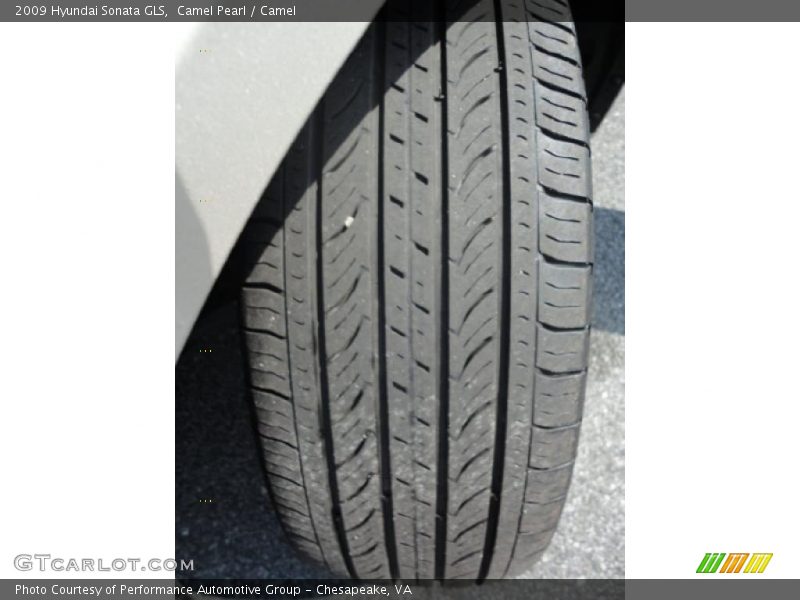 Camel Pearl / Camel 2009 Hyundai Sonata GLS