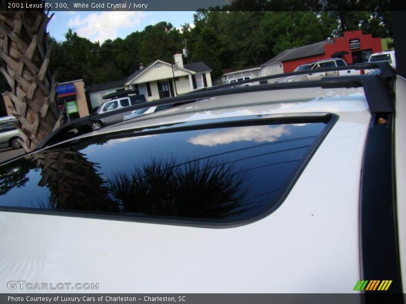 White Gold Crystal / Ivory 2001 Lexus RX 300