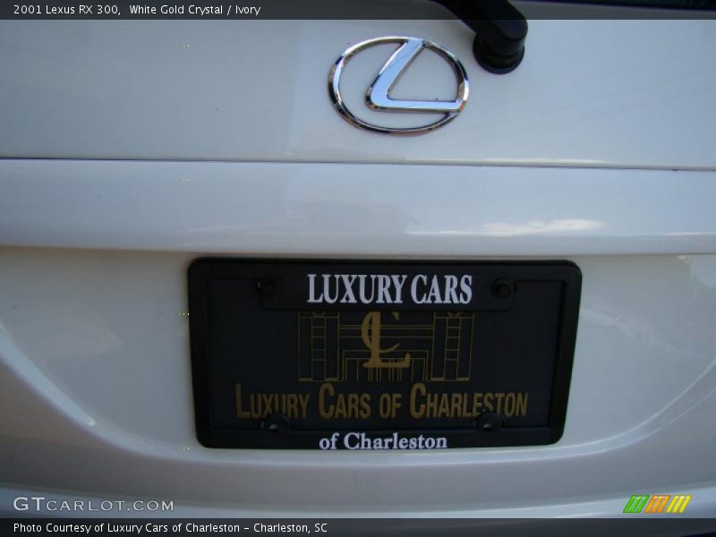 White Gold Crystal / Ivory 2001 Lexus RX 300