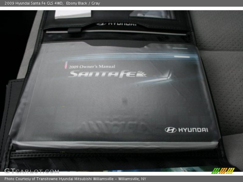 Ebony Black / Gray 2009 Hyundai Santa Fe GLS 4WD