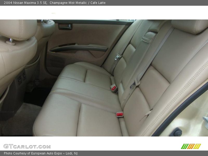 Champagne Mist Metallic / Cafe Latte 2004 Nissan Maxima 3.5 SE