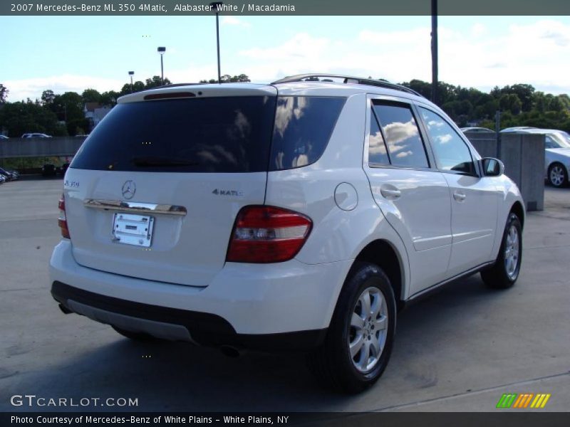 Alabaster White / Macadamia 2007 Mercedes-Benz ML 350 4Matic