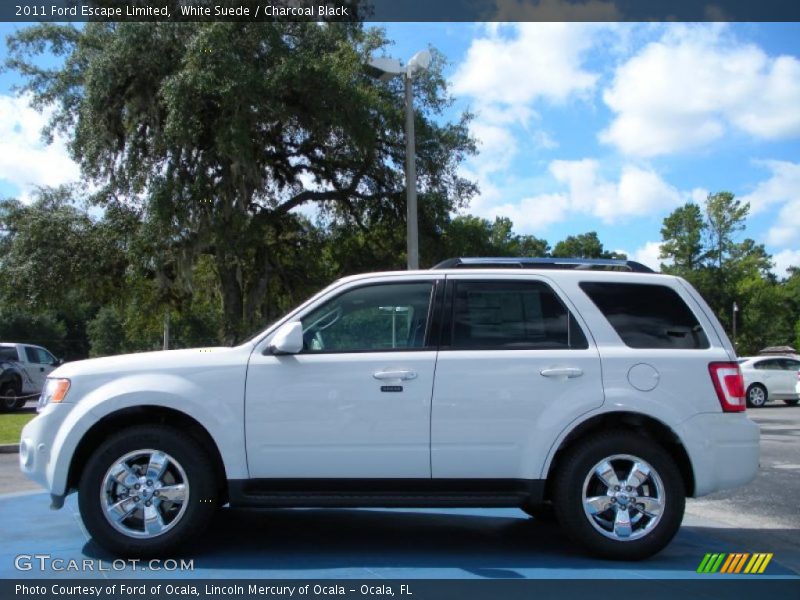 White Suede / Charcoal Black 2011 Ford Escape Limited