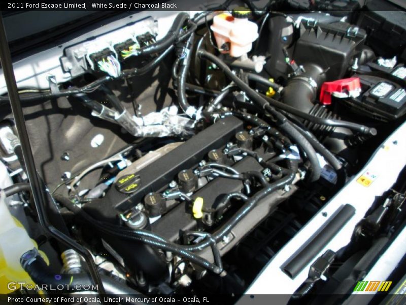 White Suede / Charcoal Black 2011 Ford Escape Limited