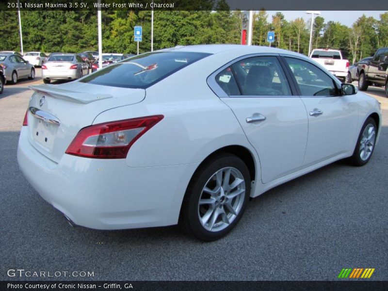 Winter Frost White / Charcoal 2011 Nissan Maxima 3.5 SV