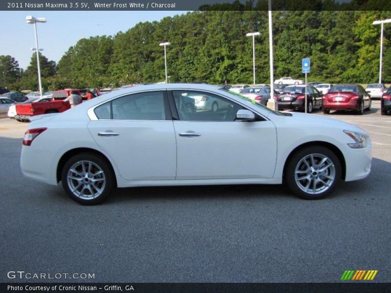 Winter Frost White / Charcoal 2011 Nissan Maxima 3.5 SV