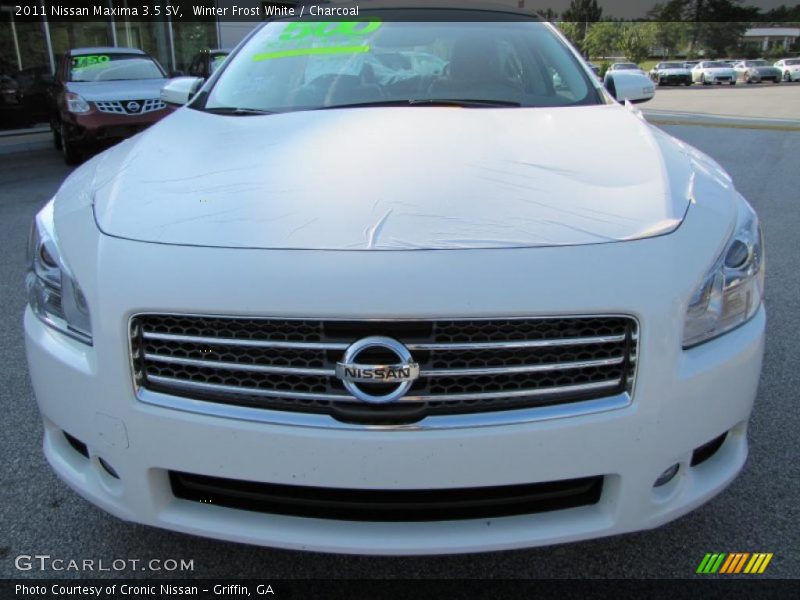 Winter Frost White / Charcoal 2011 Nissan Maxima 3.5 SV