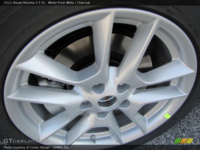 Winter Frost White / Charcoal 2011 Nissan Maxima 3.5 SV