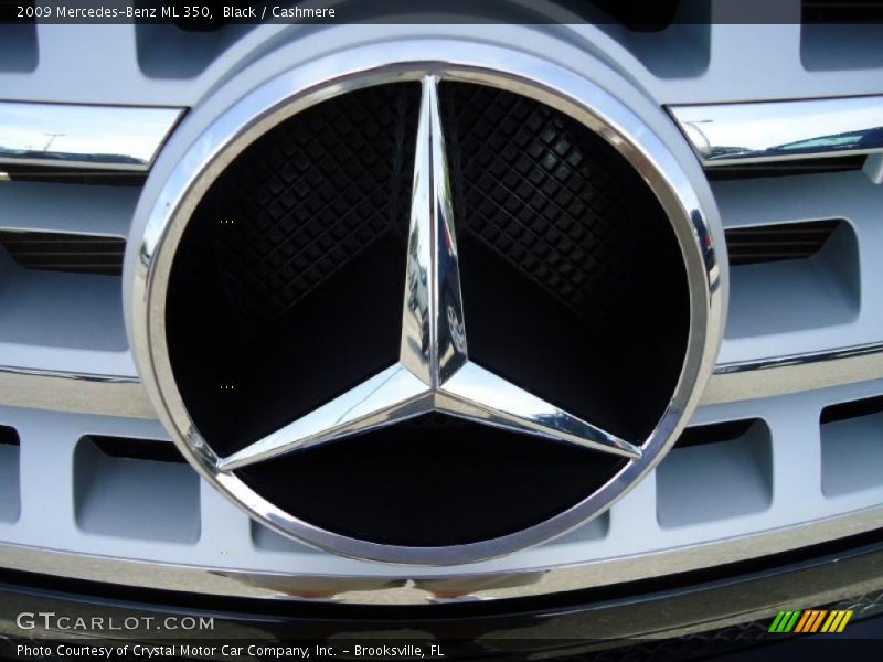 Black / Cashmere 2009 Mercedes-Benz ML 350