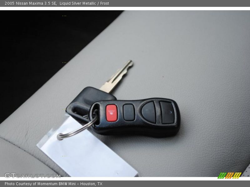 Liquid Silver Metallic / Frost 2005 Nissan Maxima 3.5 SE