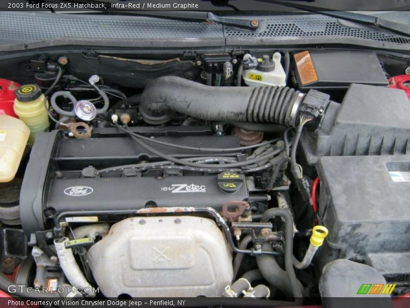 Infra-Red / Medium Graphite 2003 Ford Focus ZX5 Hatchback