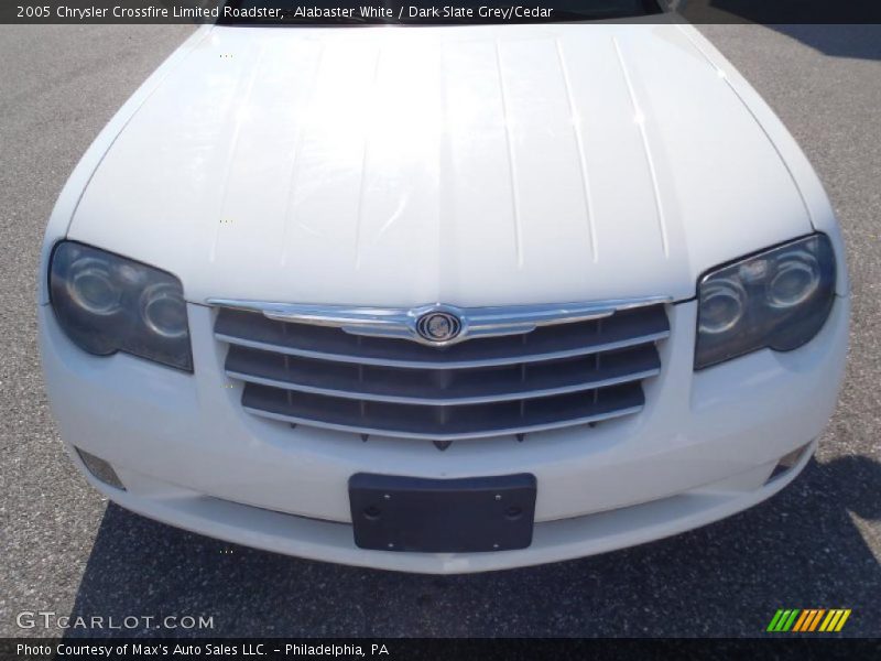 Alabaster White / Dark Slate Grey/Cedar 2005 Chrysler Crossfire Limited Roadster