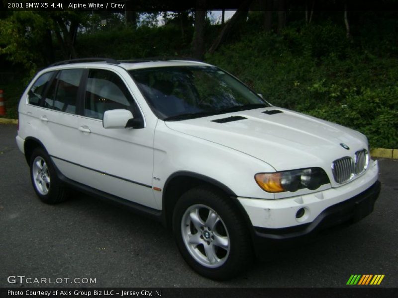 Alpine White / Grey 2001 BMW X5 4.4i