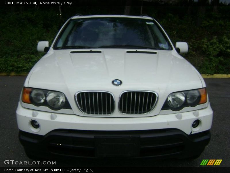 Alpine White / Grey 2001 BMW X5 4.4i