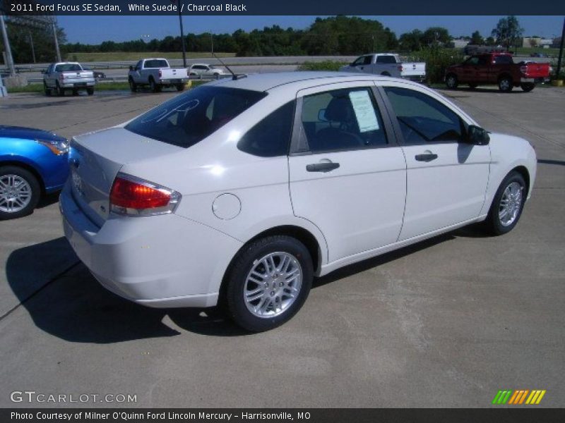 White Suede / Charcoal Black 2011 Ford Focus SE Sedan