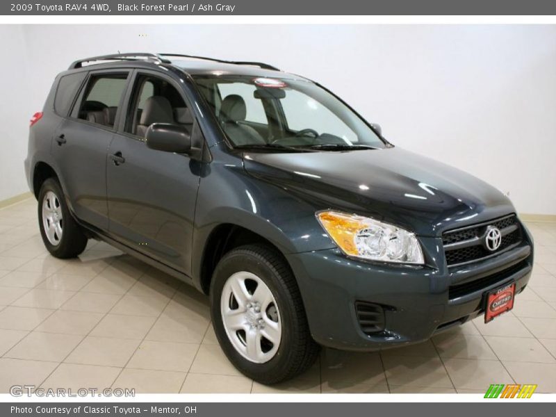 Black Forest Pearl / Ash Gray 2009 Toyota RAV4 4WD