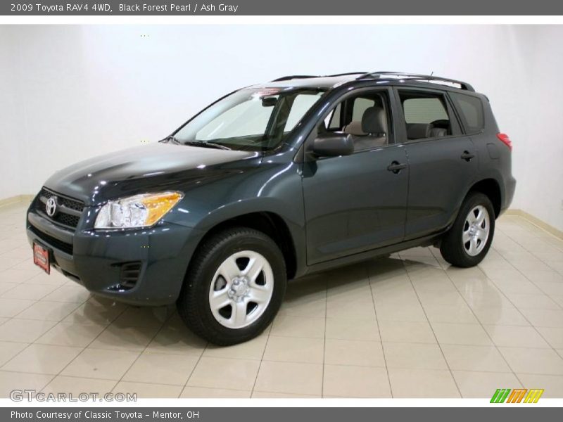 Black Forest Pearl / Ash Gray 2009 Toyota RAV4 4WD