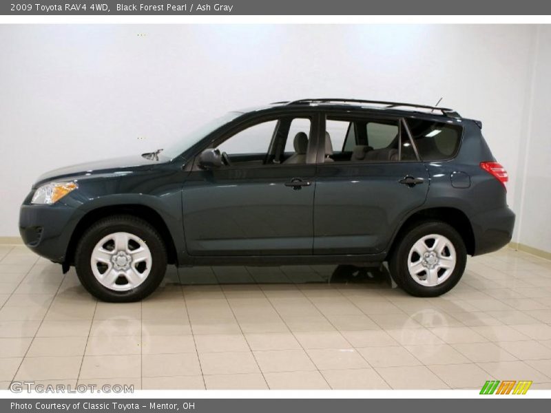 Black Forest Pearl / Ash Gray 2009 Toyota RAV4 4WD