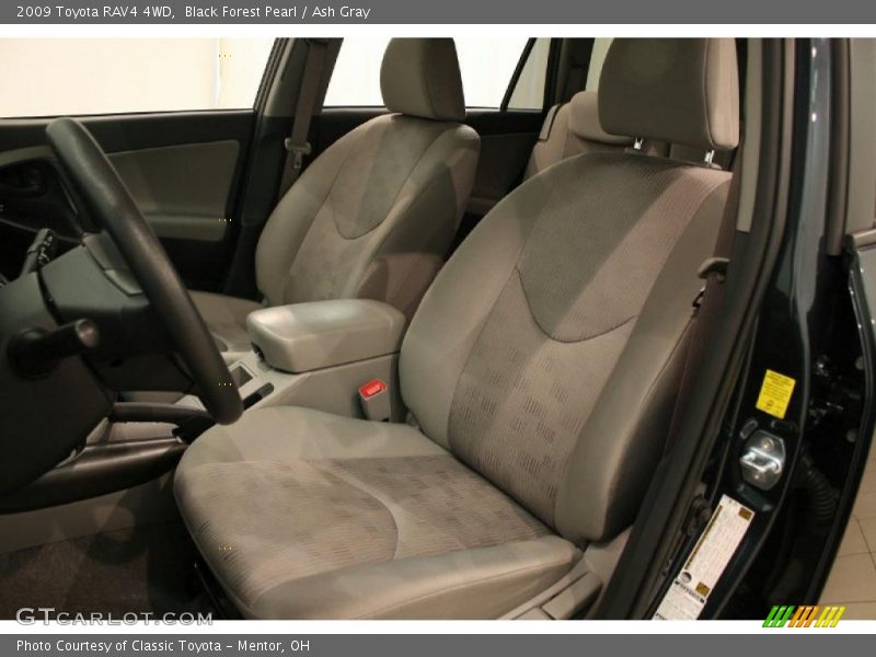 Black Forest Pearl / Ash Gray 2009 Toyota RAV4 4WD
